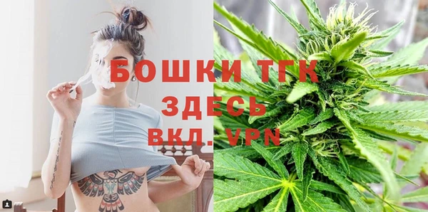 Альфа ПВП Аркадак