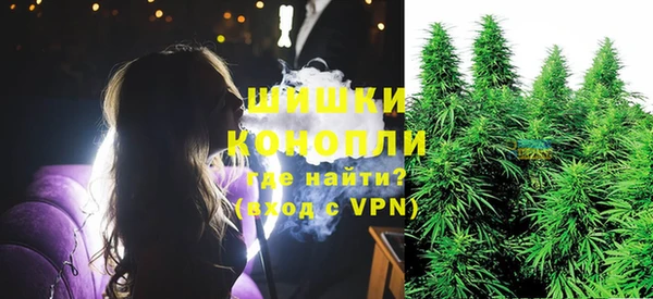 спайс Тайга