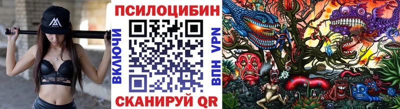кракен рабочий сайт  Бобров  Псилоцибиновые грибы Psilocybine cubensis 